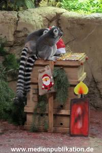 Hagenbeck Nikolus 04122015 002