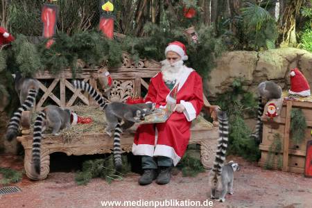 Hagenbeck Nikolus 04122015 005
