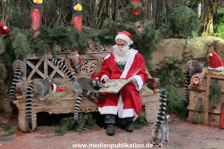 Hagenbeck Nikolus 04122015 008