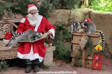 Hagenbeck Nikolus 04122015 009