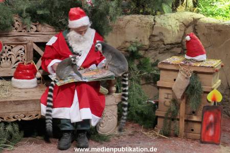 Hagenbeck Nikolus 04122015 011