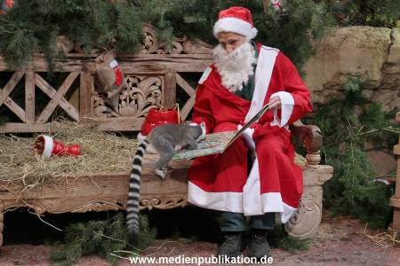 Hagenbeck Nikolus 04122015 012