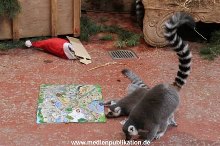 Hagenbeck Nikolus 04122015 013