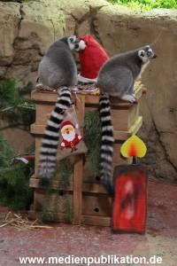 Hagenbeck Nikolus 04122015 014