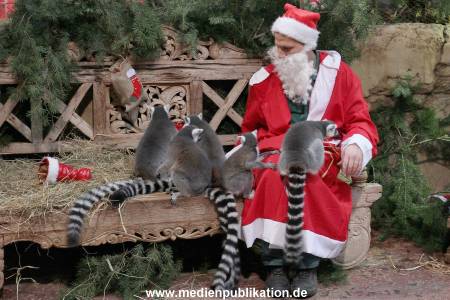 Hagenbeck Nikolus 04122015 015