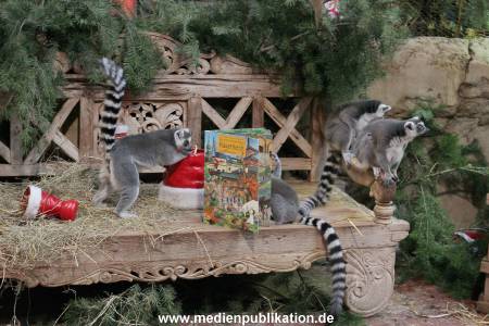 Hagenbeck Nikolus 04122015 016