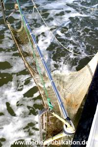 amrum 04 04 krabbenfahrt 002