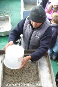 amrum 04 04 krabbenfahrt 007