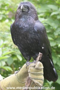 4gegenZ 07062005 021