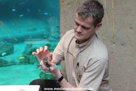 Hagenbeck 29112010 024