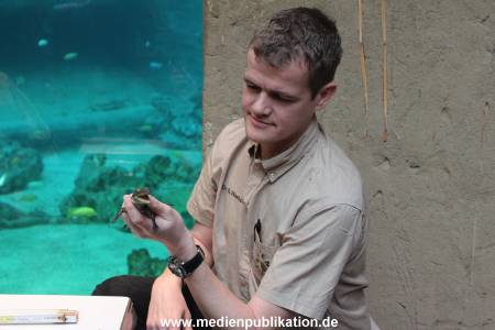 Hagenbeck 29112010 025