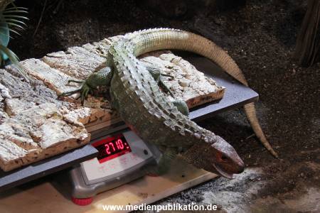 Hagenbeck Inventur 12012018 010