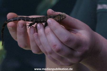 Hagenbeck Inventur 12012018 011