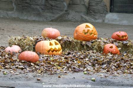 Hagenbeck 30102009 001