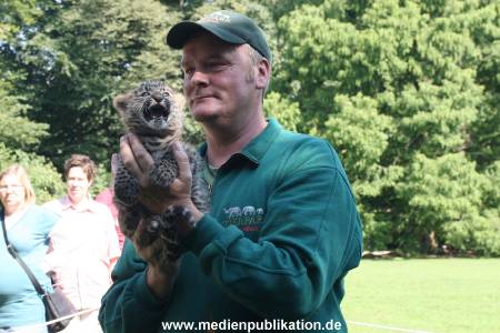 Hagenbeck 13082010 018