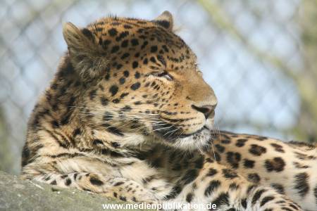 Hagenbeck 09032014 026