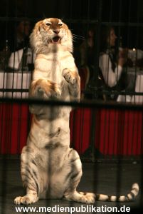 Dinner Circus 10112005 004