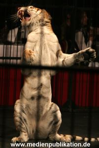 Dinner Circus 10112005 005