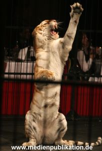 Dinner Circus 10112005 007