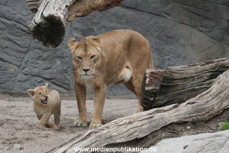 Hagenbeck 23062011 030