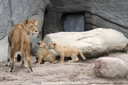 Hagenbeck 23062011 031