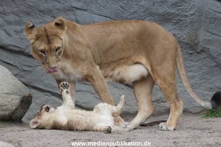 Hagenbeck 23062011 035