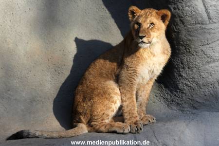 Hagenbeck Fruehling 12042012 002