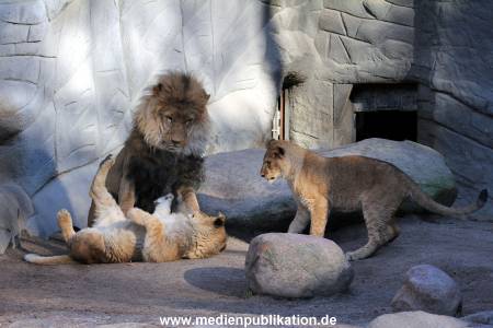 Hagenbeck Fruehling 12042012 021