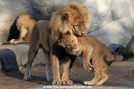 Hagenbeck Fruehling 12042012 022