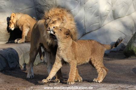 Hagenbeck Fruehling 12042012 023