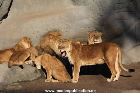 Hagenbeck Fruehling 12042012 029