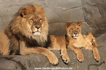 Hagenbeck Fruehling 12042012 031