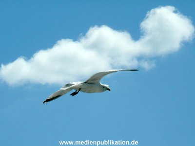 Kiel Oslo 01062009 067