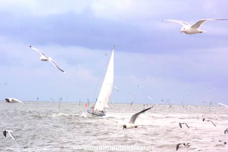 amrum 2001 022