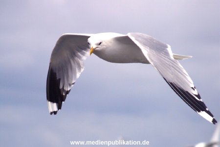 amrum 2001 024
