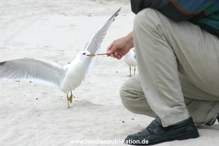 amrum 2003 006