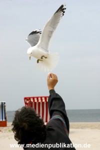 amrum 2003 013