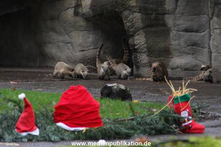Hagenbeck 05122011 001