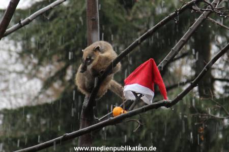 Hagenbeck 05122011 005