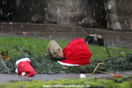 Hagenbeck 05122011 006