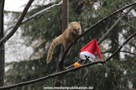 Hagenbeck 05122011 007