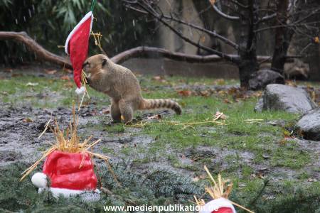 Hagenbeck 05122011 008