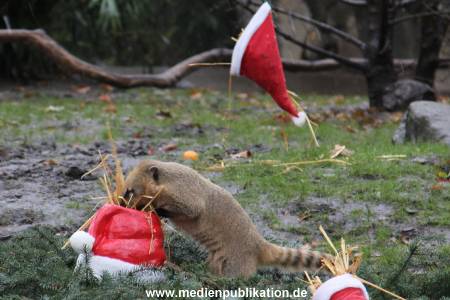 Hagenbeck 05122011 009