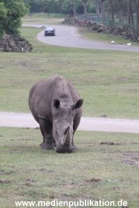 Serengeti Dumont 11062013 001