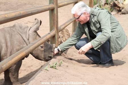 Serengeti Dumont 11062013 059