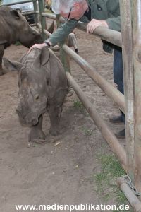 Serengeti Dumont 11062013 267