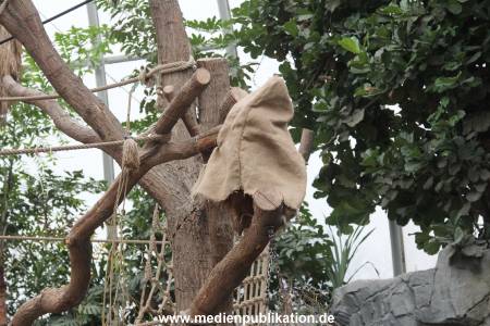 Hagenbeck Nikolaus 05122013 032