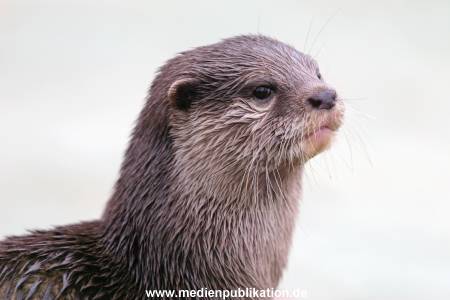 hagenbeck 19032005 004