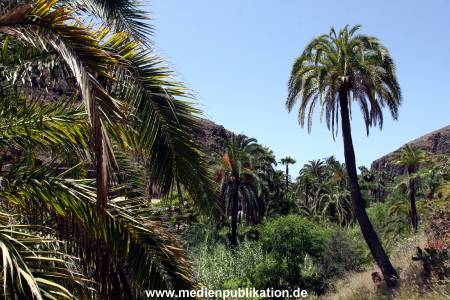 Palmitos Park GC2013 060