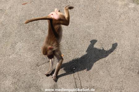 Hagenbeck 24042016 008
